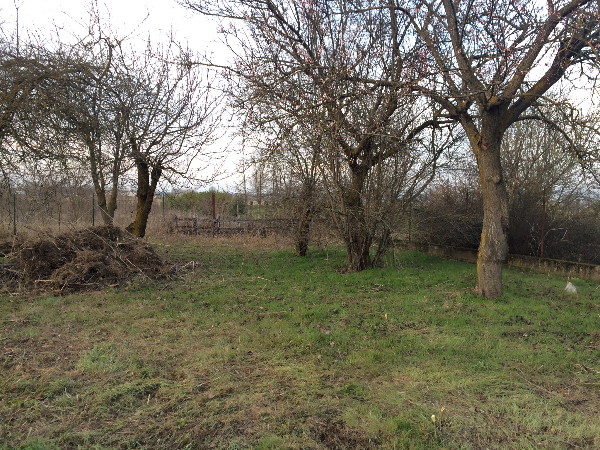 Editor Gloria Macaluso 