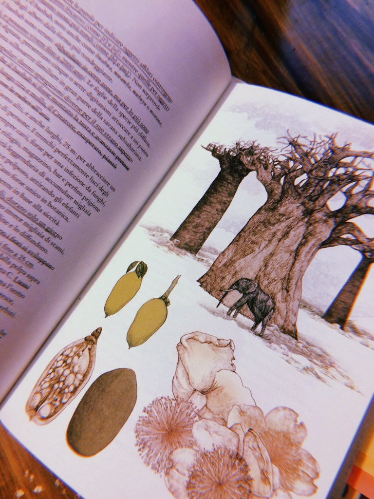 © Editor Gloria Macaluso