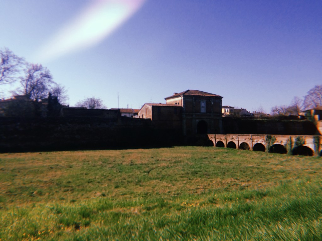 Editor Gloria Macaluso