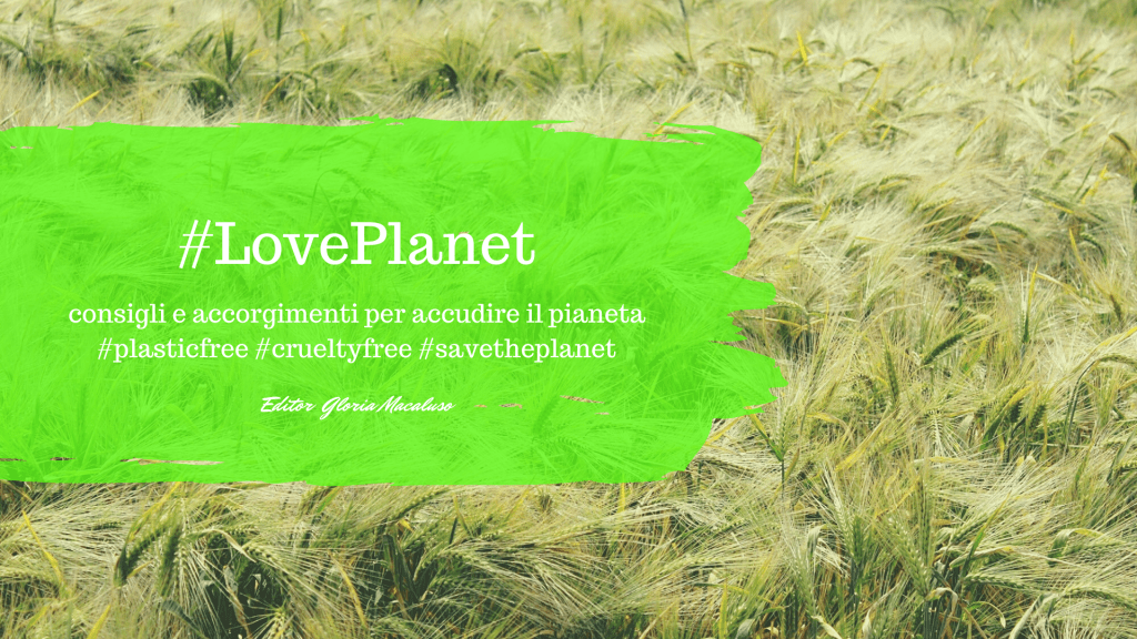 Un mondo senza plastica – LovePlanet&nbsp;#1